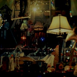 Ranunculus (Ambient Ver.)