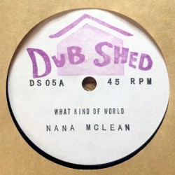 What Kind Of World // Embrace Eachother Dub