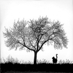 Library Tapes / Nils Frahm