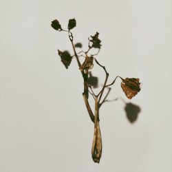 Slow Ungive (Broken)