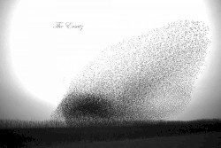 The Ersatz (for guitar orchestra)