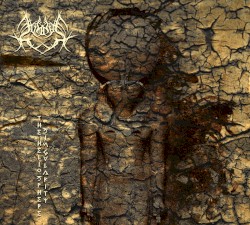 The Heliosphere Singularity