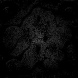 Soisong Broadcast #11