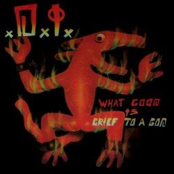 What Good Is Grief to a God?