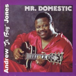 Mr. Domestic
