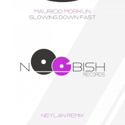Slowing Down Fast (Neylan remix)
