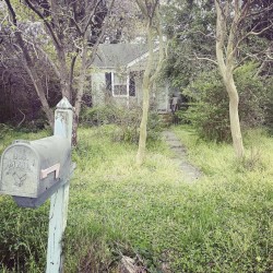 Ropeswing / Hangman