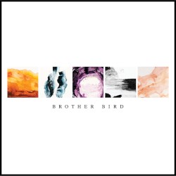 Brother Bird