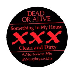 Something In My House (XXX Clean And Dirty)