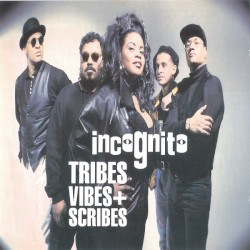 Tribes, Vibes and Scribes
