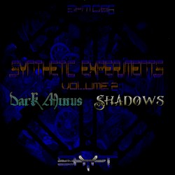 Synthetic Experiments Volume 2