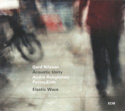 Elastic Wave