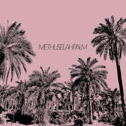 Methuselah Palm