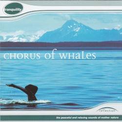 Tranquility: Chorus of Whales