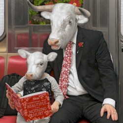 Everything Was Beautiful, And Nothing Hurt