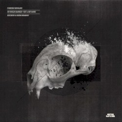 No Holds Barred / Get a bit More (remixes)