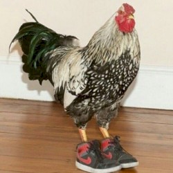 seeing for the first time