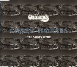 Crazy Horses (Utah Saints remix)
