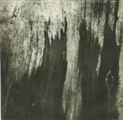 Der Erde entwachsen (Gewollte Wunden)