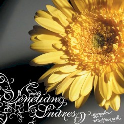 Moonglow / This Bitter Earth