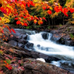 Real Authentic Sound