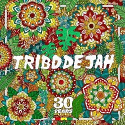 Come to the Vibe (30 Years)