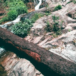 Things Are Working In Your Favour