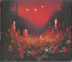 SUPERBLOOM