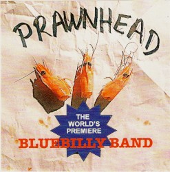 Worlds Premier Bluebilly Band