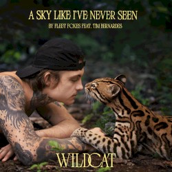 A Sky Like I’ve Never Seen (From the Amazon Original Movie “Wildcat”)