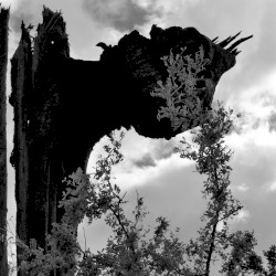 Live at 24h DEEP LISTENING Festival