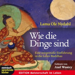 Wie die Dinge sind : eine zeitgemäße Einführung in die Lehre Buddhas