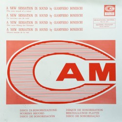 A New Sensation In Sound (The New Sound Of A Voice)