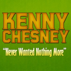 Never Wanted Nothing More