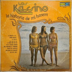 La historia de mi harem