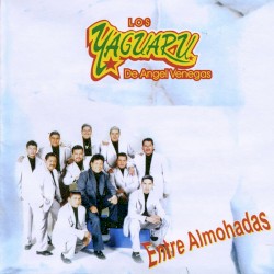 Entre almohadas