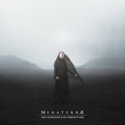 The Substance of Perception