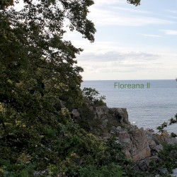 Floreana II