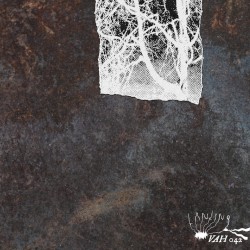 Bi-Monthly Subscription Series 14