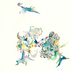 Age of Birds