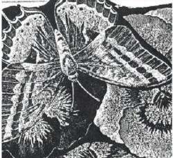 2012 Summer Tour Demo