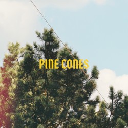 Pine Cones
