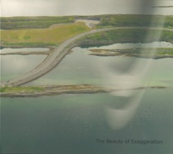 The Beauty of Exaggeration