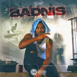 Badnis