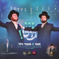 זיי גוט