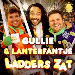 Uitschuif ladders zat