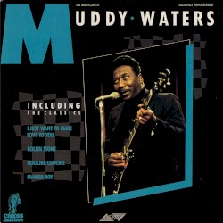 Muddy Waters