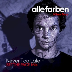 Never Too Late (SETTHEPACE mix)