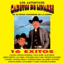 Los auténticos: 16 éxitos