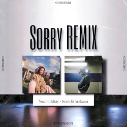 Sorry [Remix]